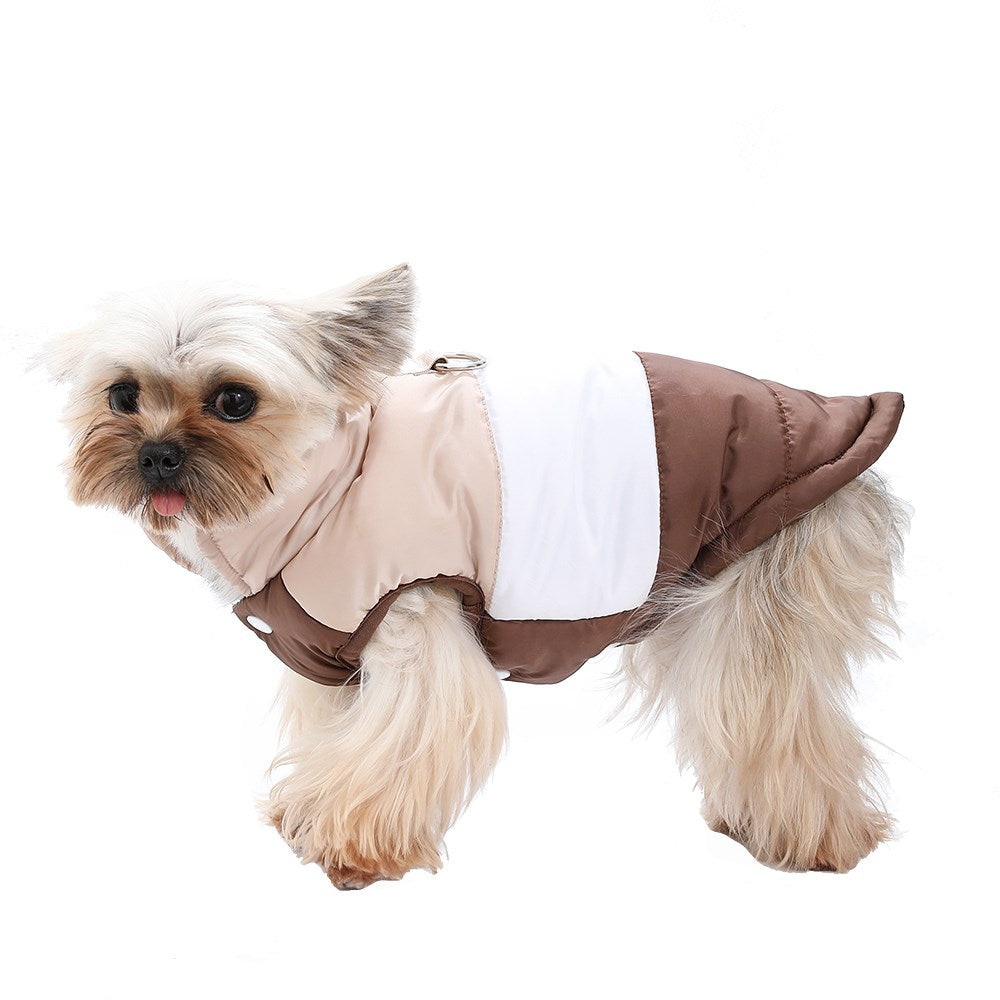 Yorkshire Terrier mit Steppjacke