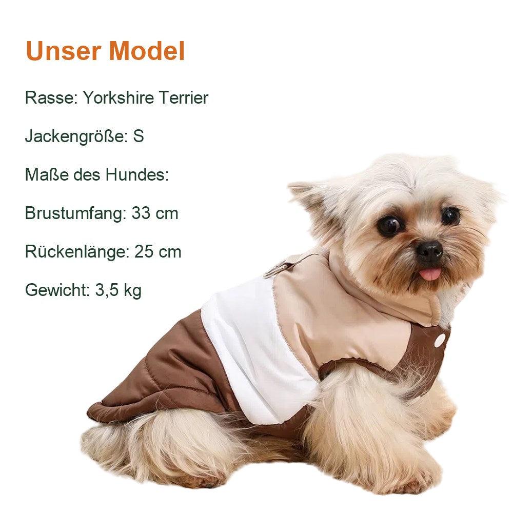 Unser Model: Yorkshire Terrier in Größe S
