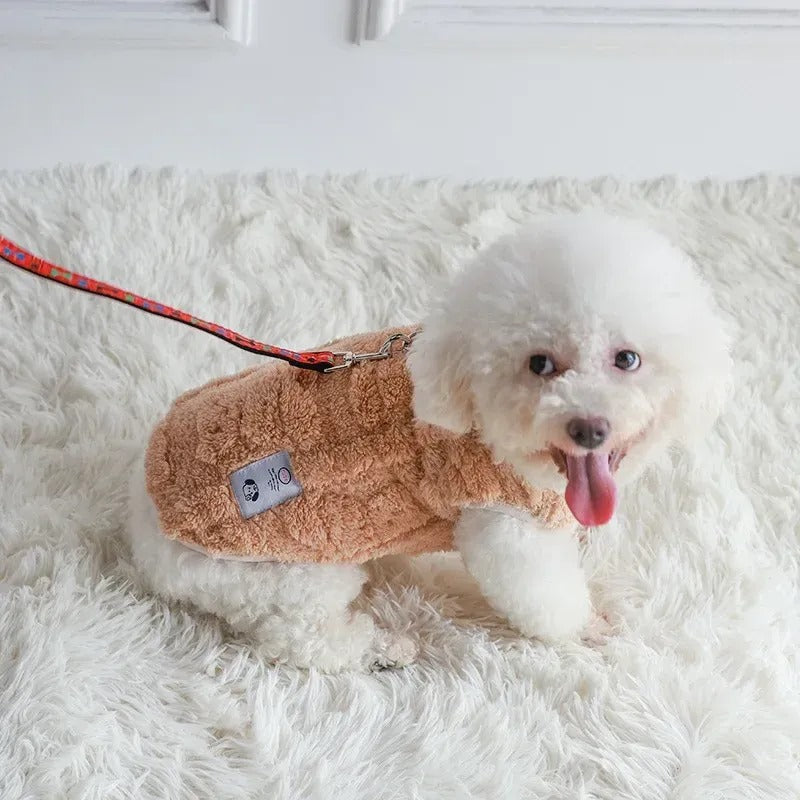Kleiner Hund im Fleece-Pullover an der Leine