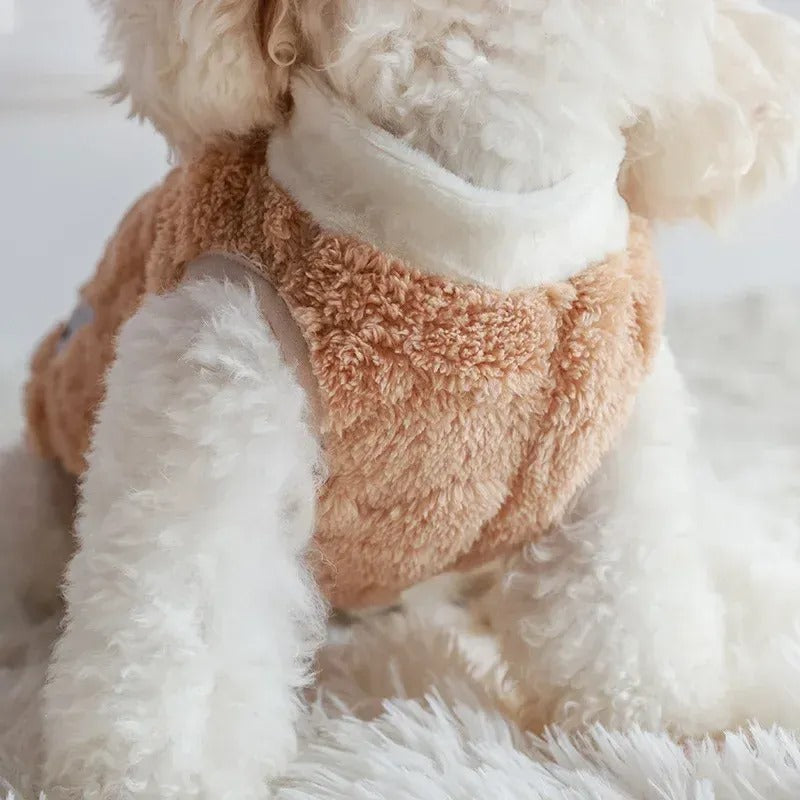 Kuscheliger Teddy-Fleece mit Stehkragen
