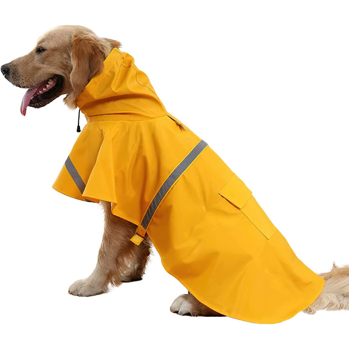 Golden Retriever im gelben Hunde-Regenmantel mit Kapuze und Reflektorstreifen
