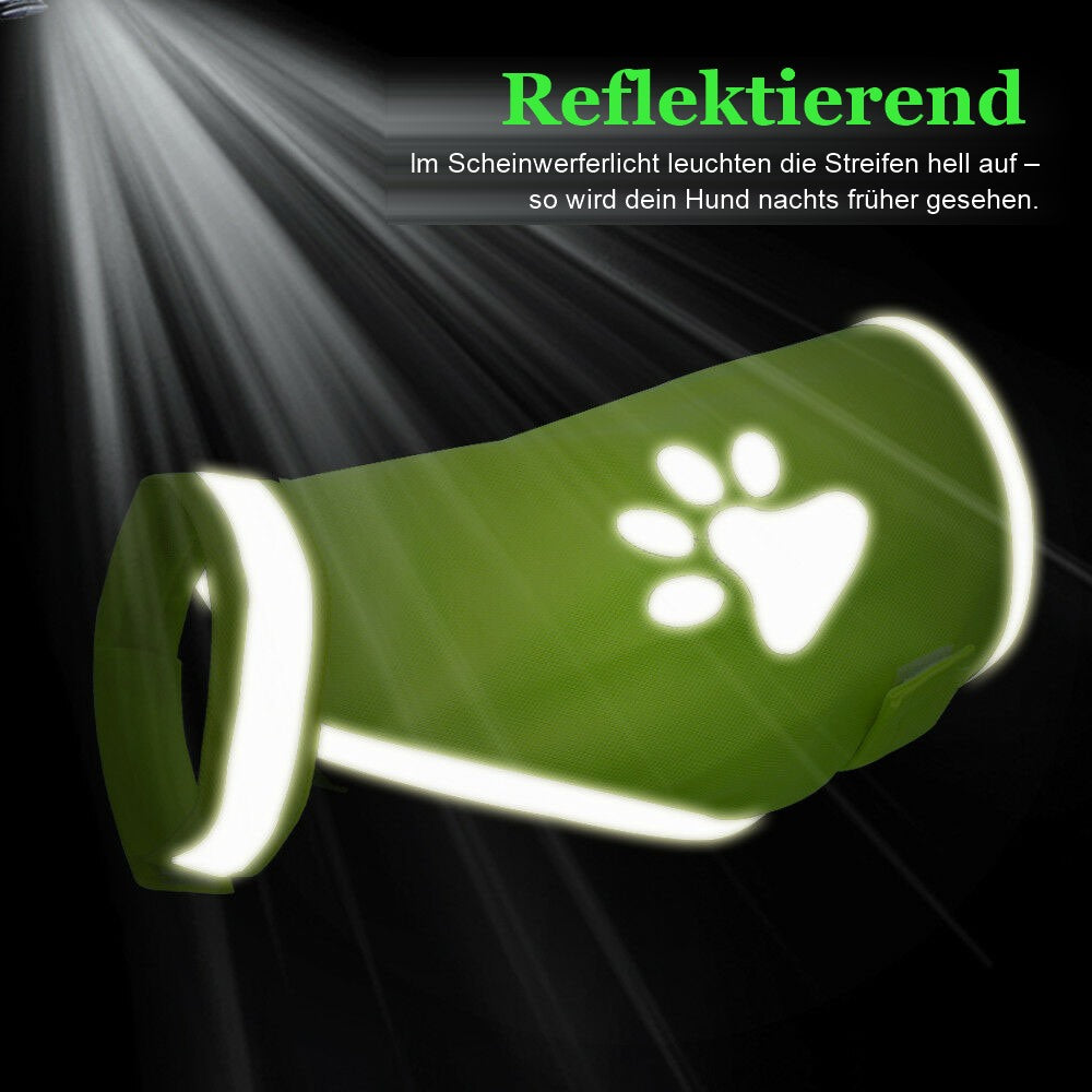 Reflektorstreifen der Hunde-Warnweste leuchten im Scheinwerferlicht
